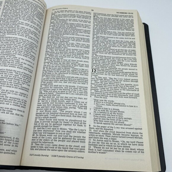 Holy Bible NKJV Thomas Nelson 412AN 1982 Words of Christ in Red Dictionary - Picture 8 of 13